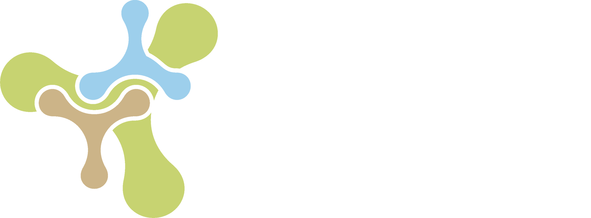 CURSA